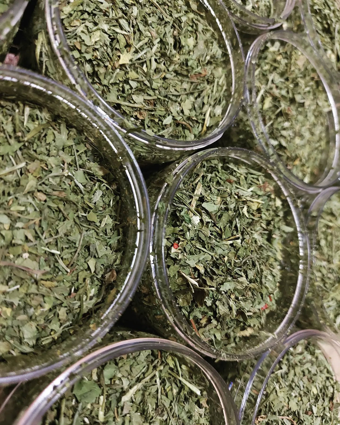 التوابل المجففة