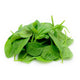 Baby Spinach Leaves Italy 1 pkt