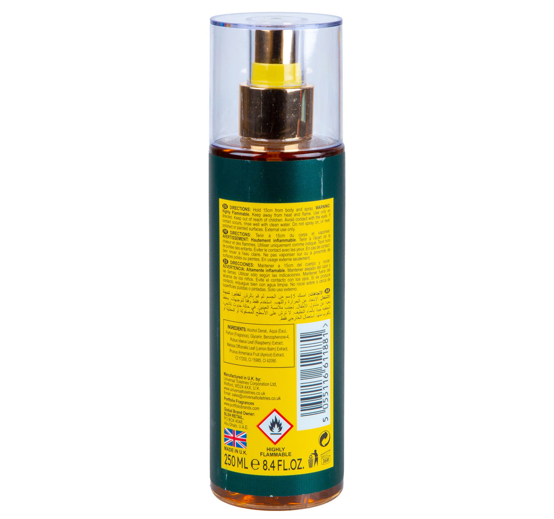 Portfolio Deep Adventure Luxury Fragrance Mist For Men 250ml