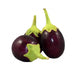 Eggplant Round 500 g
