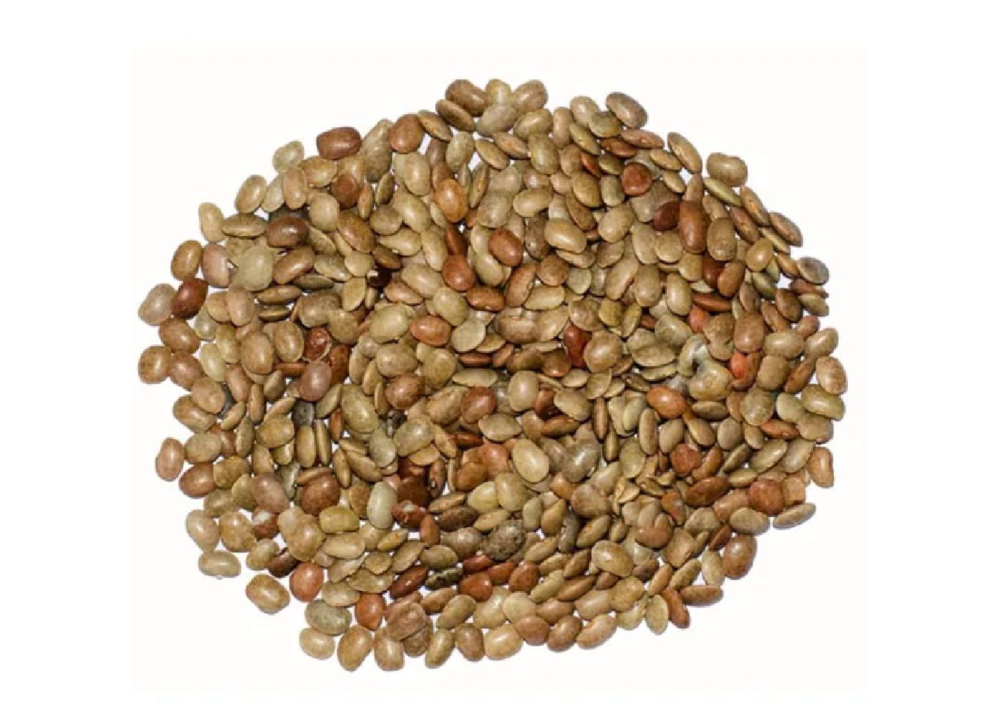 Kulthi Horse Gram