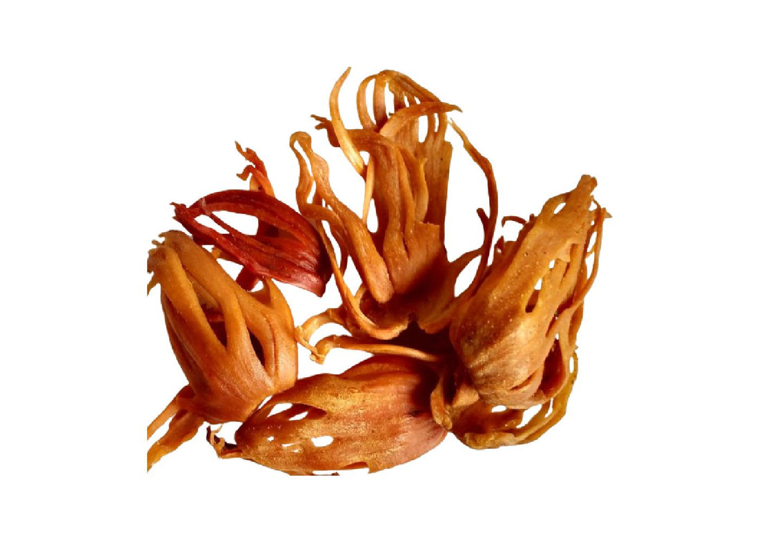 ميس جافيتري