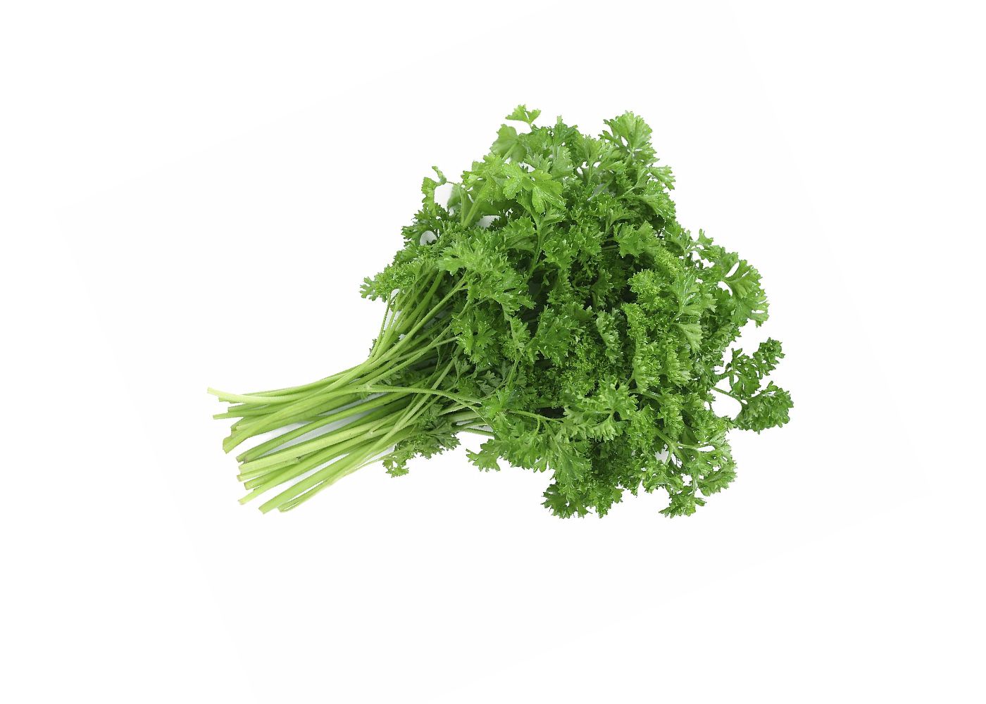 Parsley
