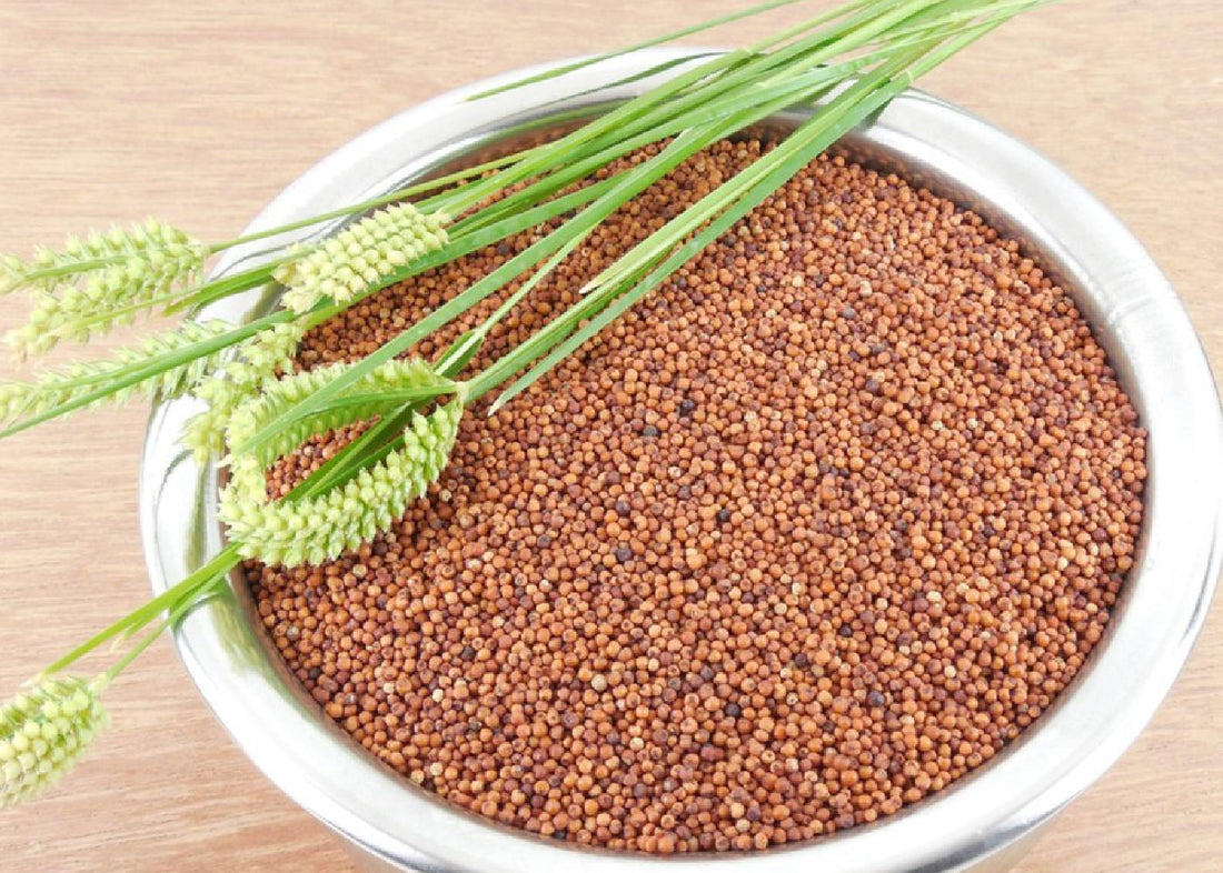 Raagi Red Millet