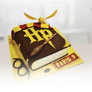 Harry Potter Theme Cake