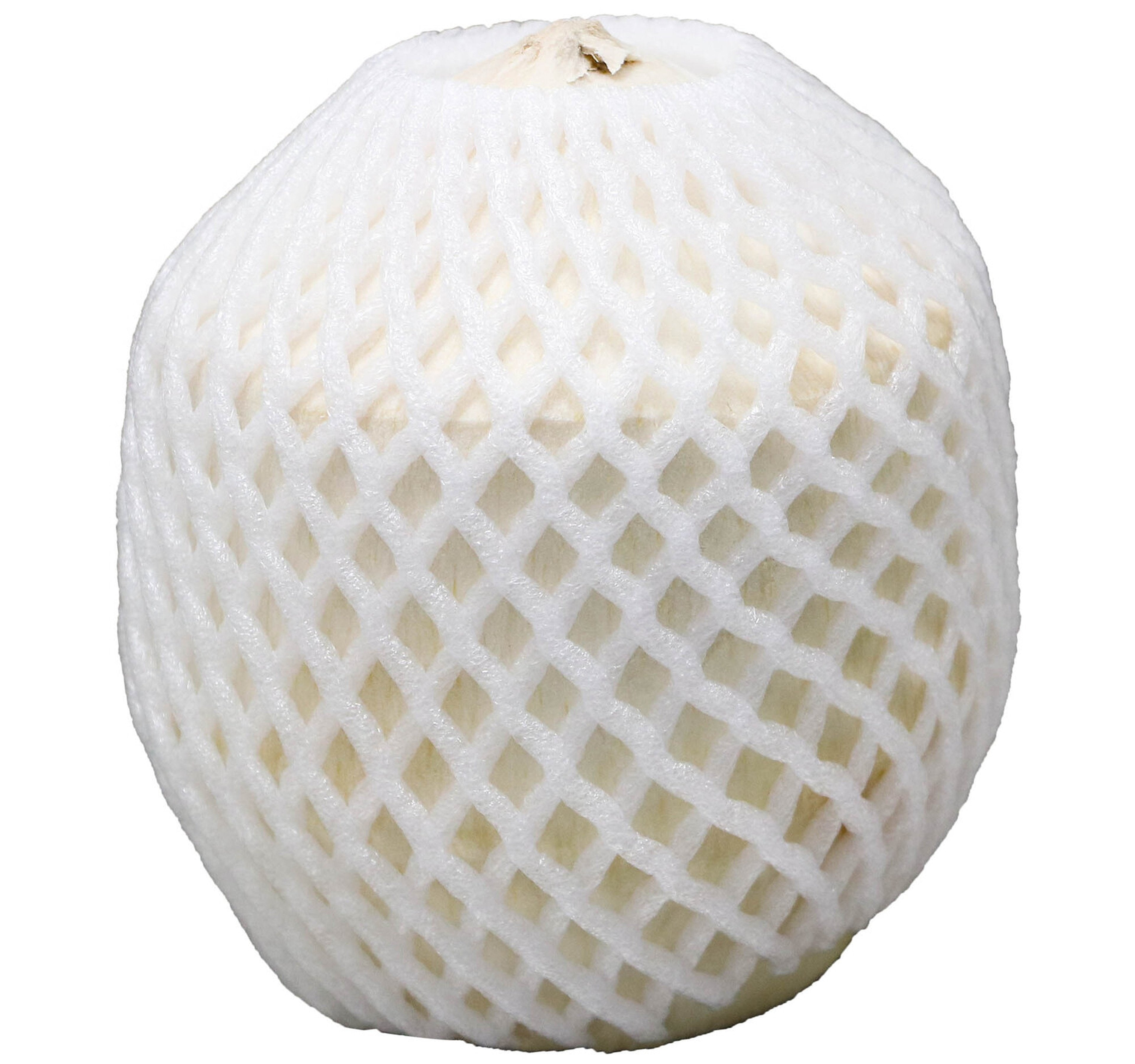 Tender Coconut Vietnam 1 pc