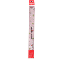 Nataraj Ruler 621 30cm