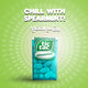 Tic Tac Spearmint 18 g