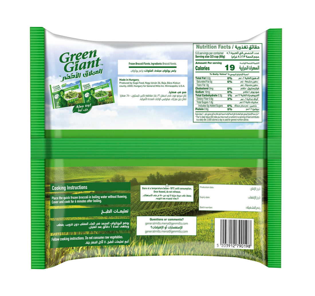 Green Giant Frozen Broccoli Florets 450 g