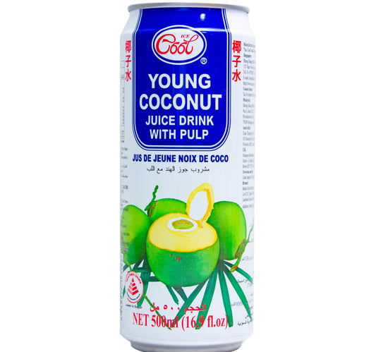 Ice Cool Young Coconut Juicy Drink With Pulp 500 ml