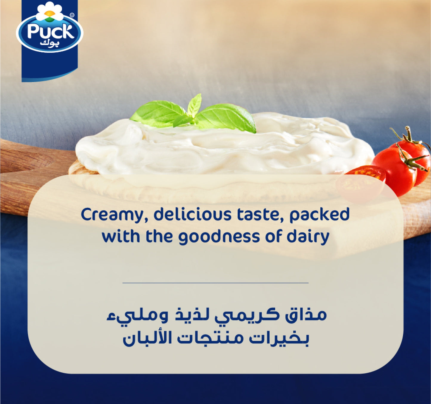 Puck Cream Cheese Spread 240 g
