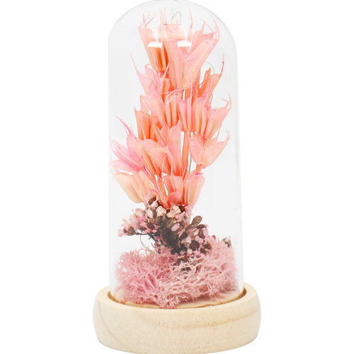 Maple Leaf Home Plastic Dry Flower In Glass Decor 1199-6