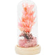 Maple Leaf Home Plastic Dry Flower In Glass Decor 1199-6