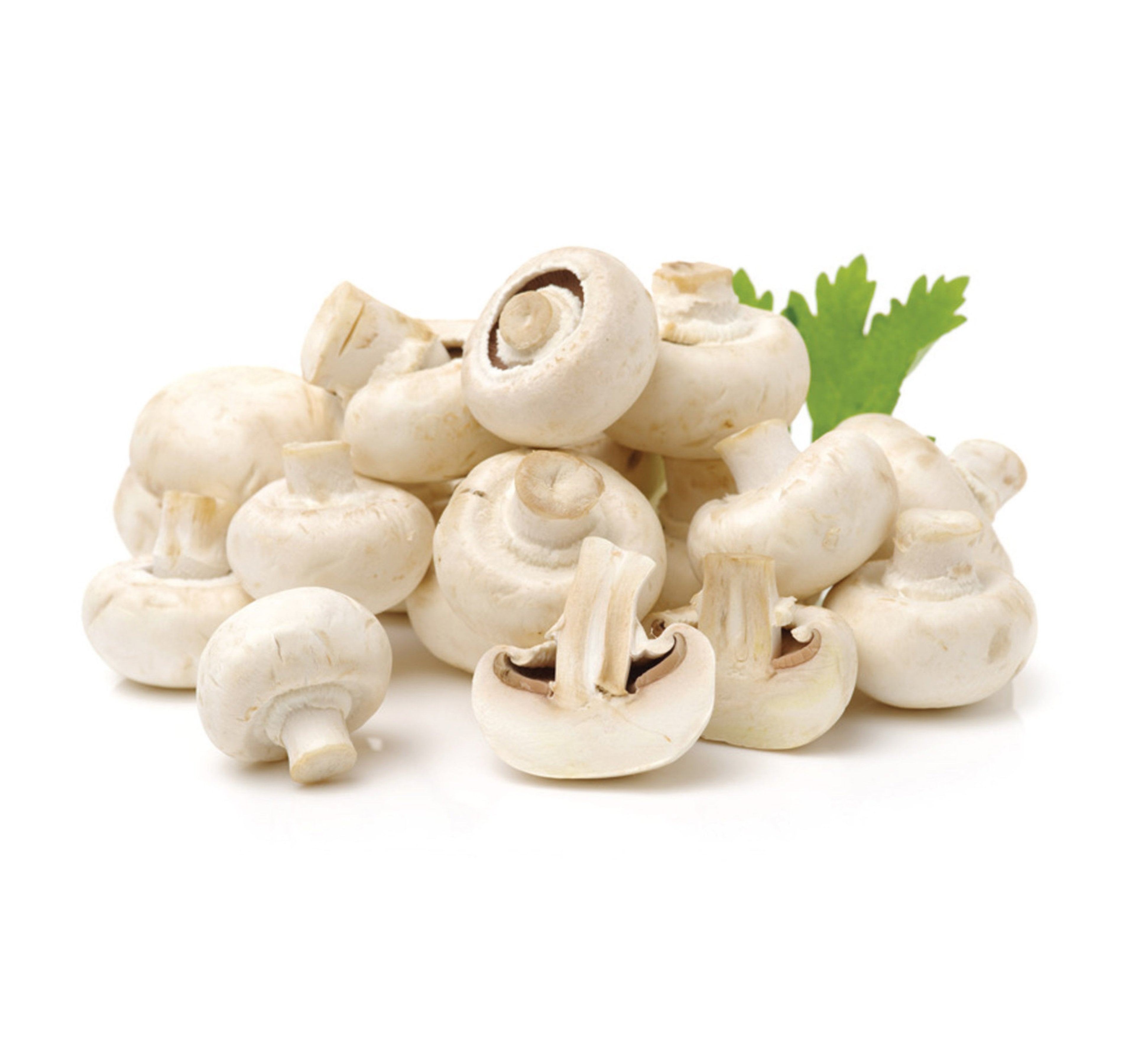 Mushroom Oman 1 pkt