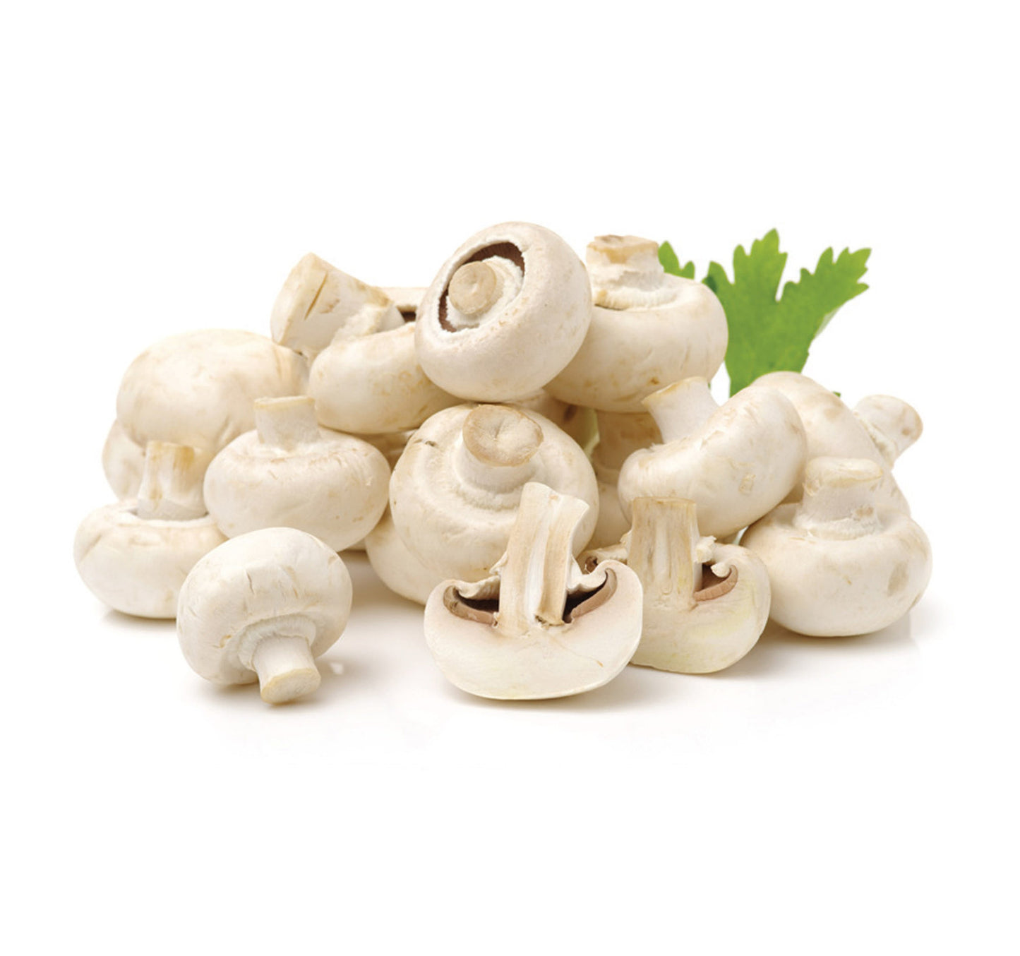 Mushroom Oman 1 pkt