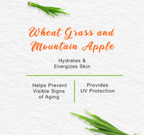 Himalaya Energizing Day Cream 50 g