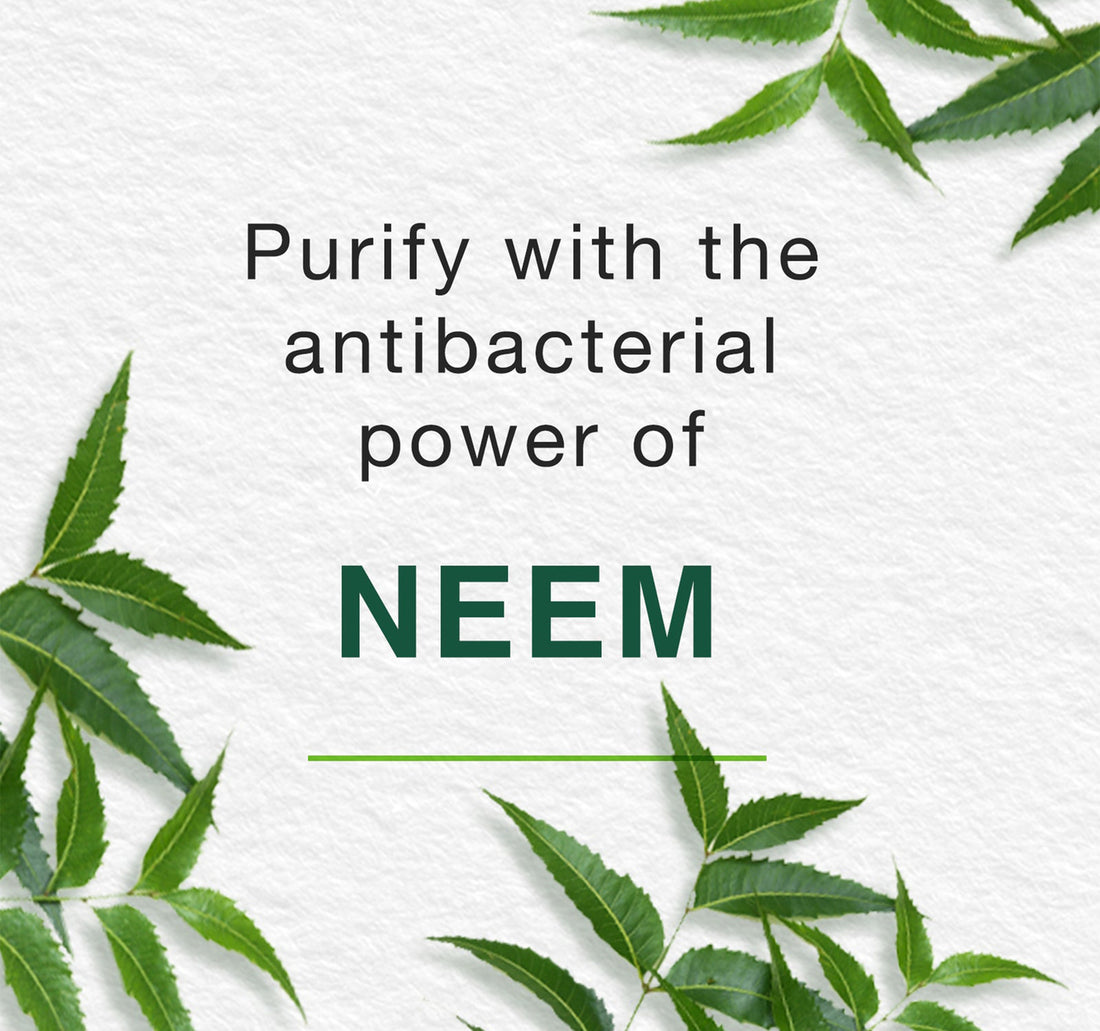 Himalaya Purifying Neem Face Wash 150 ml