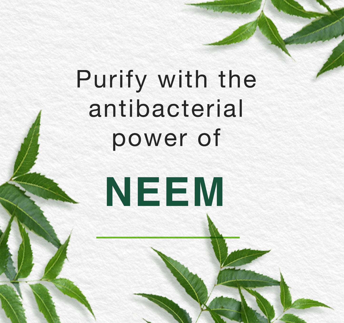 Himalaya Purifying Neem Face Wash 150 ml