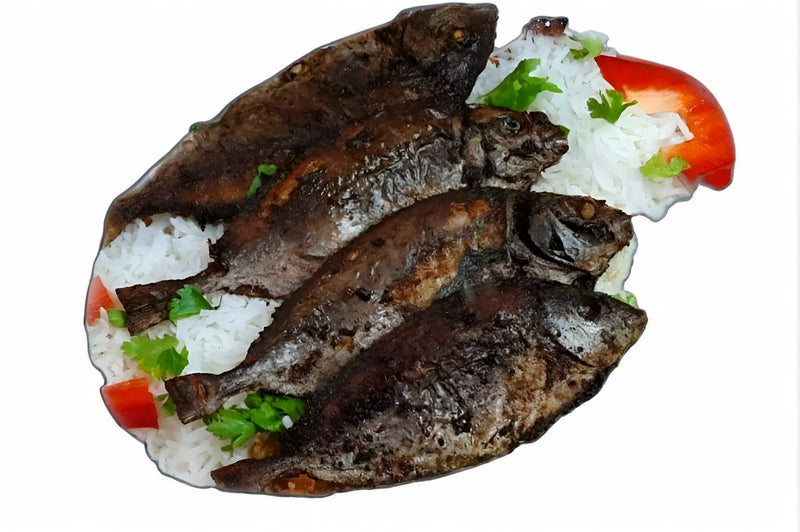 LU-Sea Food Plates Al Lulu Kitchen