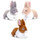 Keel Toys Keeleco 3 Bunnies, 18 cm, Assorted, SE1053