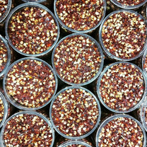 Hot Ground Red Pepper