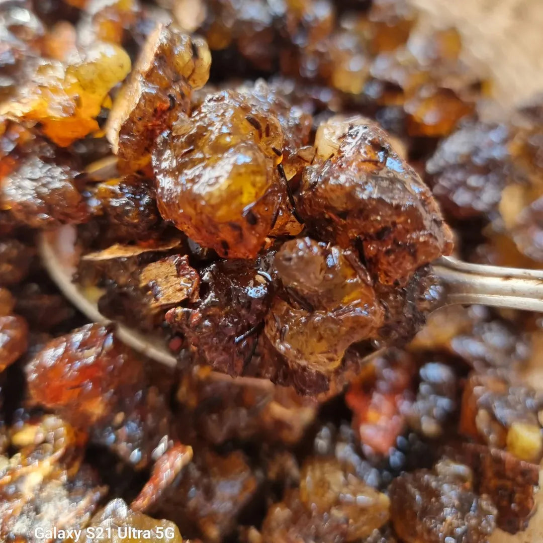 لبان الحوجري معطر بالعود الملكي