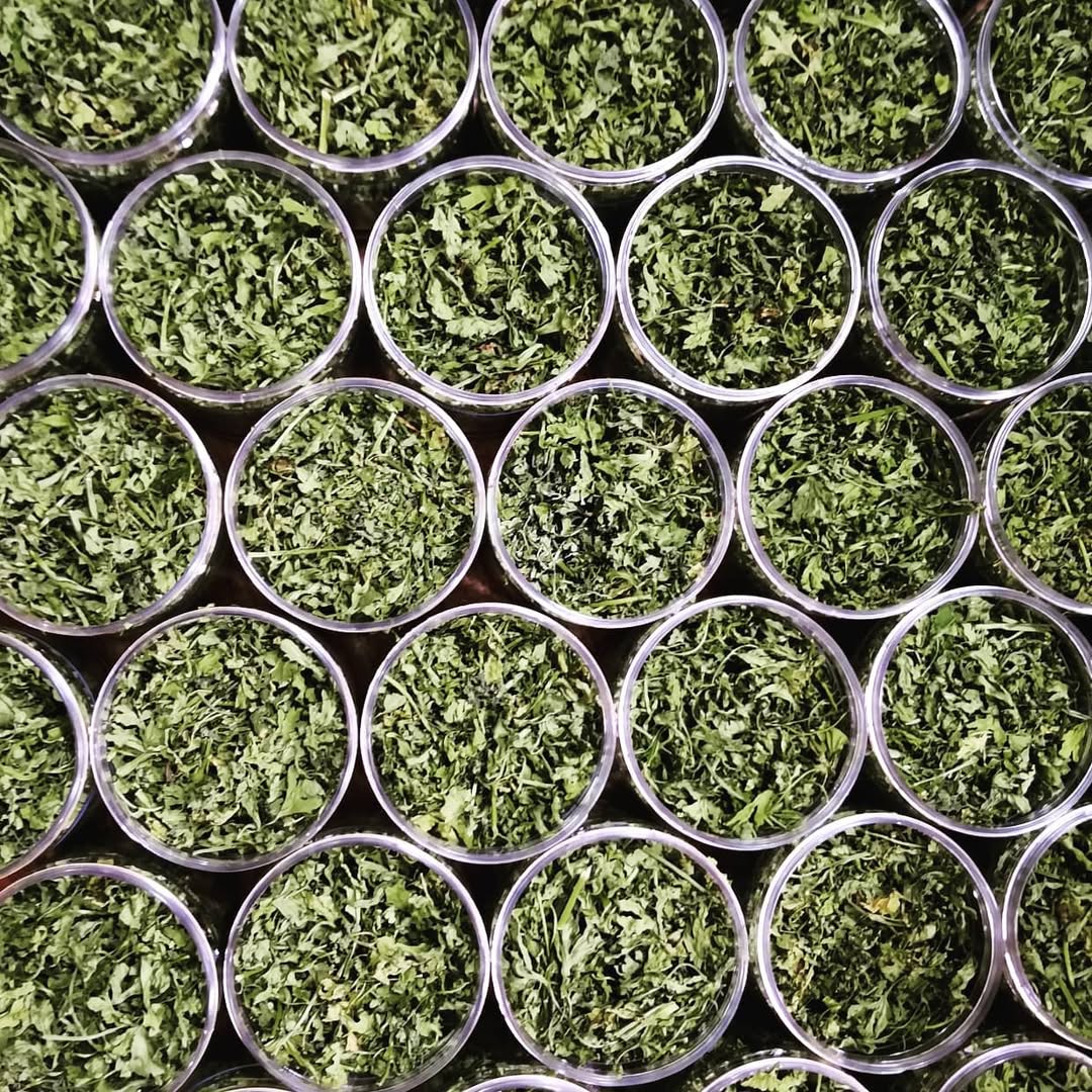 أوراق البقدونس المجففة