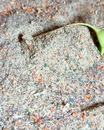 خليط دجاج ماجي