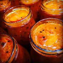 أجار الثوم الجبلي