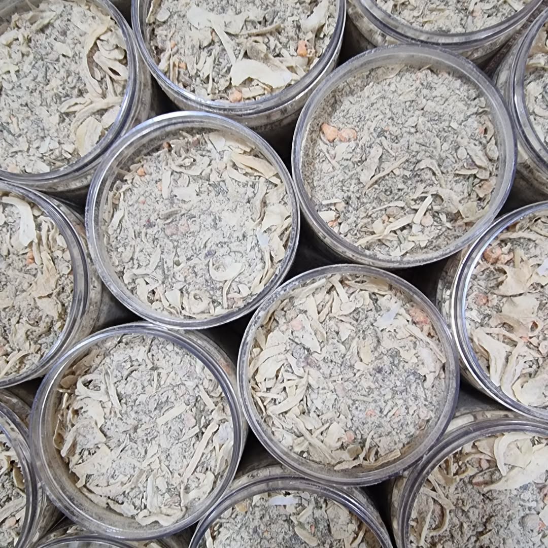 مزيج التوابل من البصل والثوم