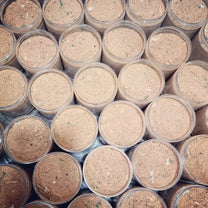 خليط الكزبرة والثوم والبصل والتوابل