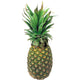 Pineapple 1 kg