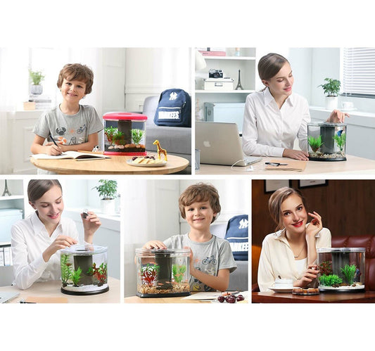 Maple Leaf Desktop Aquarium With LED Light and Filter Pump DY-01