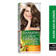 Garnier Color Naturals 6.11 Dark Ash Blonde 1 pkt
