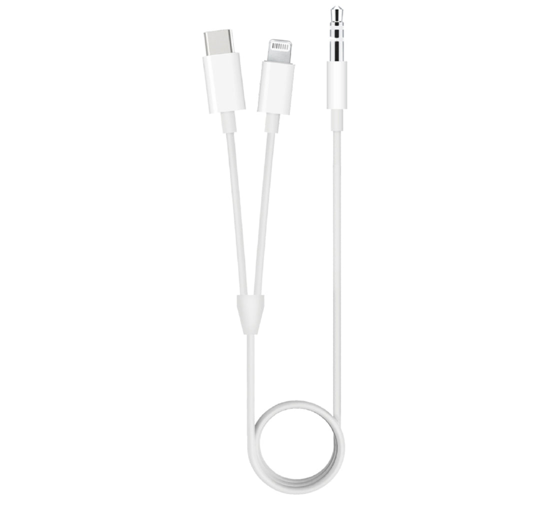 Trands 2 In 1 Lightning & Type-C Aux Audio Cable CA744