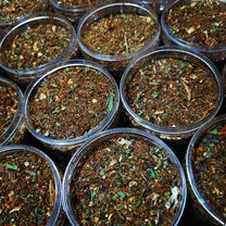 ورق العنب والتوابل