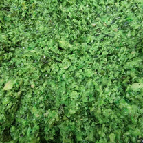 Garlic Paste with Herbs