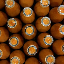 Indian Aloe Vera Paste