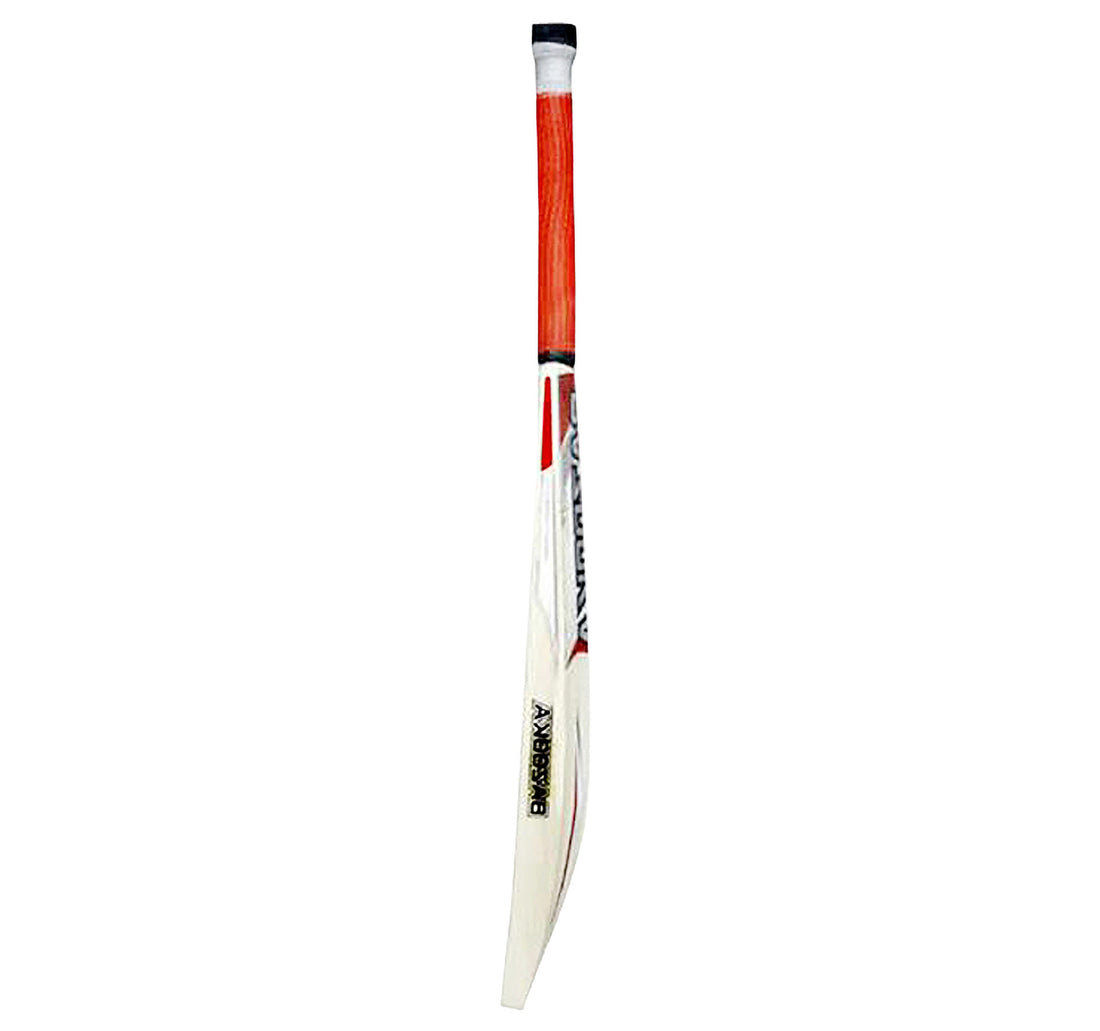 Bazooka English Willow Cricket Bat Red