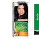 Garnier Color Naturals 1 Black 1 pkt