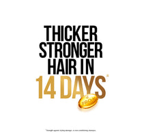 Pantene Pro-V Daily Care Shampoo 600 ml + 200 ml