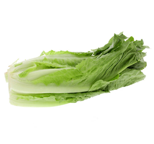 Lettuce Romaine 400 g