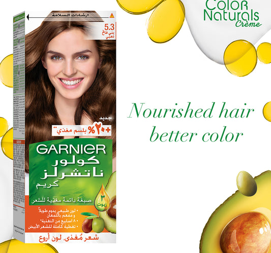 Garnier Color Naturals 5.3 Light Golden Brown 1 pkt