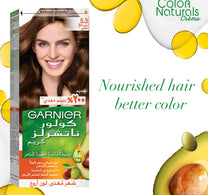 Garnier Color Naturals 5.3 Light Golden Brown 1 pkt