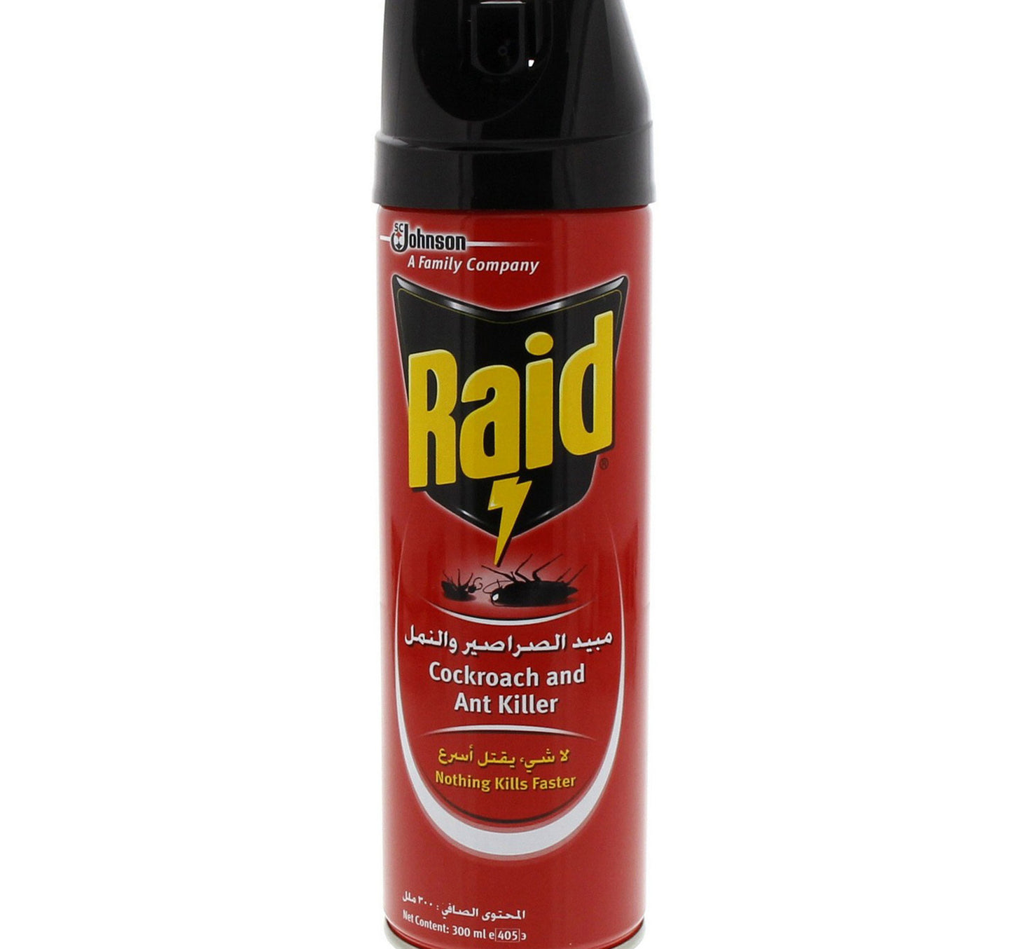 Raid Cockroach And Ant Killer 300 ml