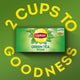 Lipton Pure Green Tea Value Pack 25 Teabags