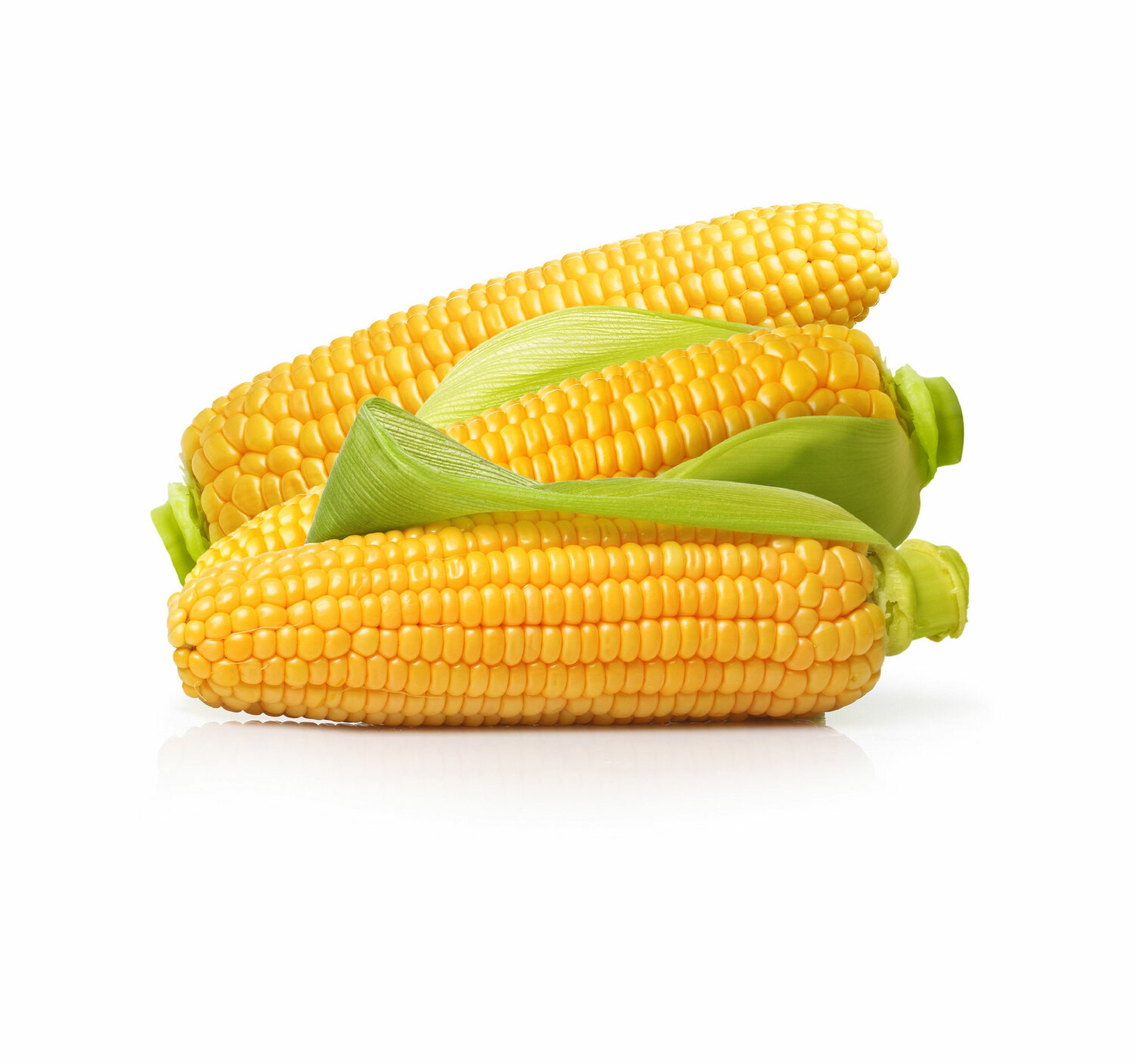 Sweet Corn 2 pcs