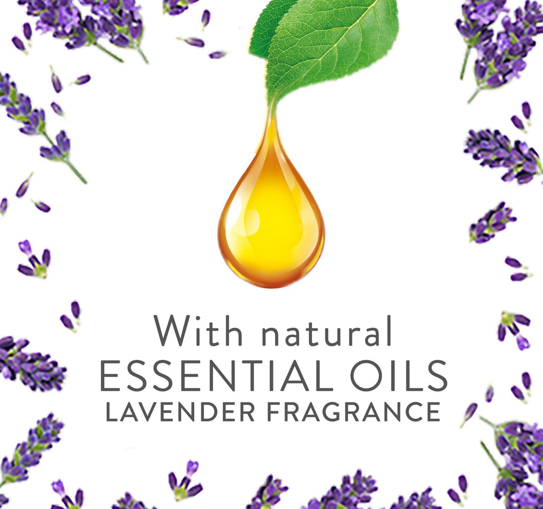 Air Wick Plug-in Scented Oil Fragrance Diffuser with Refill Lavender Scent 19 ml