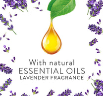 Air Wick Plug-in Scented Oil Fragrance Diffuser with Refill Lavender Scent 19 ml