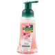 غسول اليدين الرغوي برائحة زهر اليابان من بالموليف، 250 مل